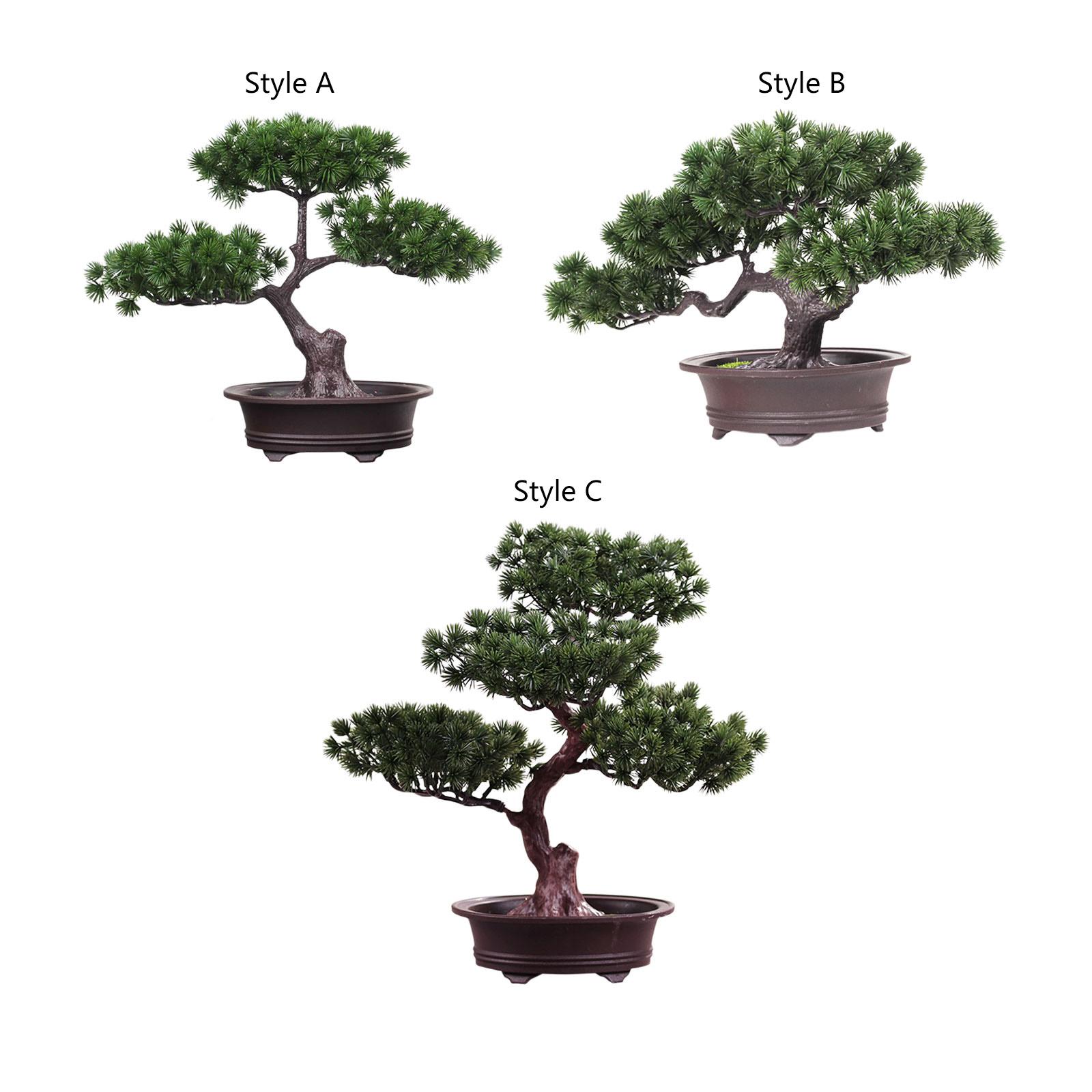 Desk Setup Plants - Planta em vaso de árvore de