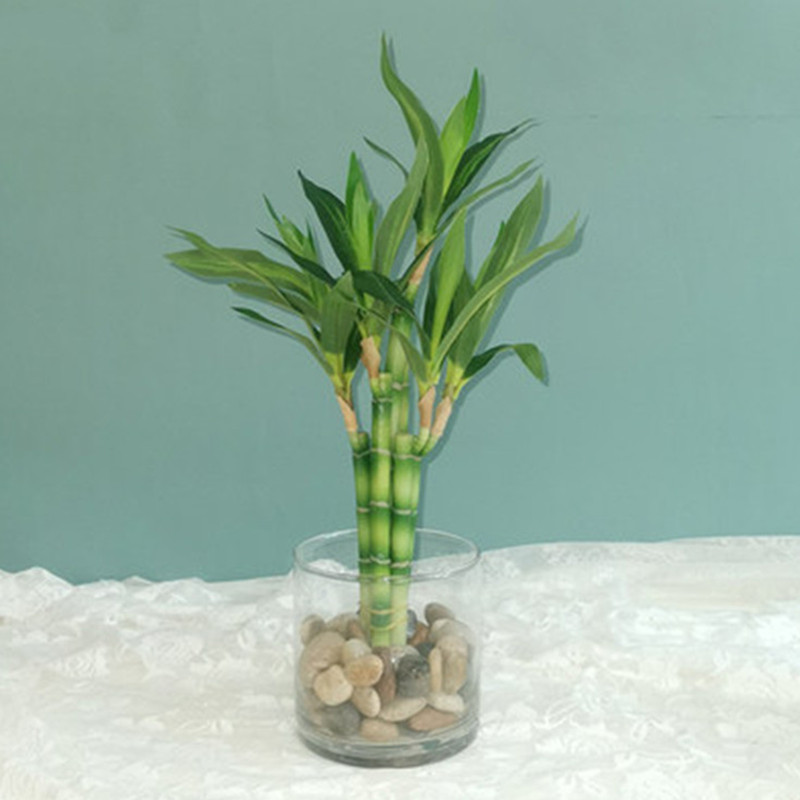 Novo 40cm rftificial sorte bam - Desk Setup Plants avaliação e preço