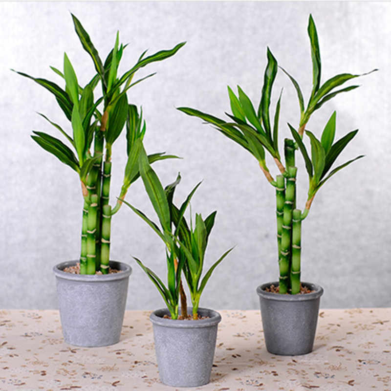 Novo 40cm rftificial sorte bam - Desk Setup Plants avaliação e preço