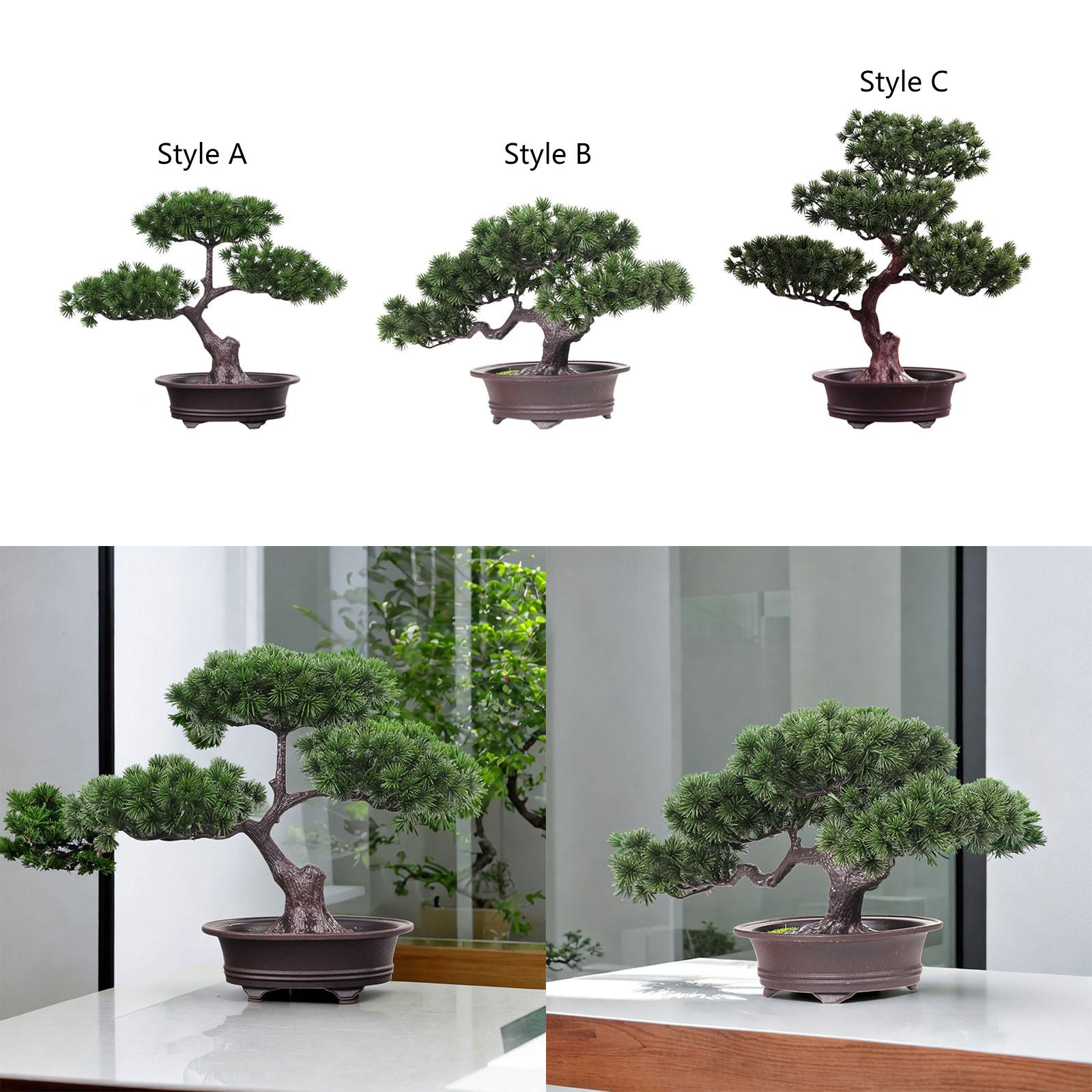 Planta em vaso de árvore de si - Desk Setup Plants avaliação e preço